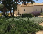 villa-cuore-verde-ferienhaus-mit-garten.jpg