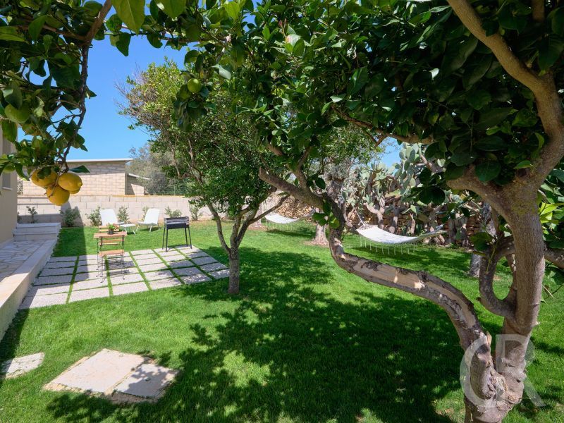 ferienhaus-teti-garten-mit-obstbaeumen.jpg