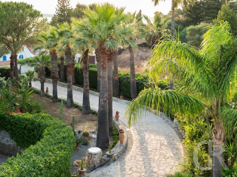 villa-maddalena-auffahrt-zur-villa.jpg