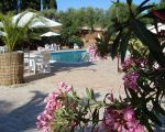 bluehender-garten-um-den-pool.jpg