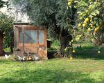 casa-limoni-imgarten.jpg