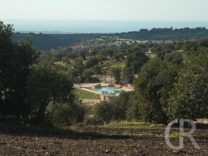 ferienwohnungen-donnafugata-olivenhaine-und-pool.JPG