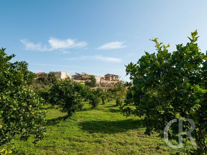 casa-capperi-blick-in-den-garten.jpg