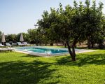 don-salvatore-swimmingpool.jpg
