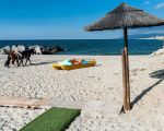 ferienvilla-am-strand.jpg