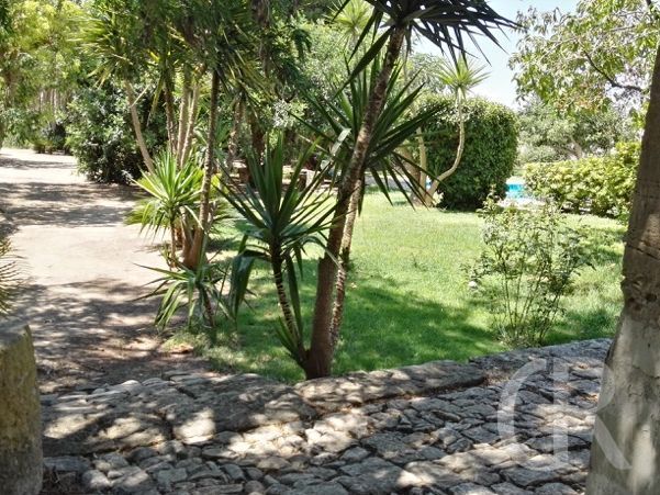 ferienwohnung-roccazzo-garten.jpg