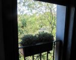 ferienwohnung-tarocco-blick-aus-dem-fenster.JPG
