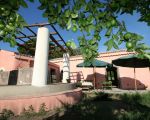 ferienwohnungen-im-agriturismo-schattige-plaetzchen-im-garten.JPG
