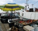 frische-fische-am-hafen-von-trapani.JPG