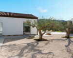 villa-sike-baeume.jpg
