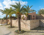 villa-ziguli-palmen.jpg