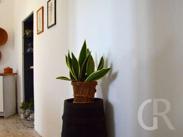 ferienwohnung-agave.jpg