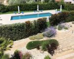ferienwohnung-cecilia-toller-blick-von-oben-auf-den-pool.jpg