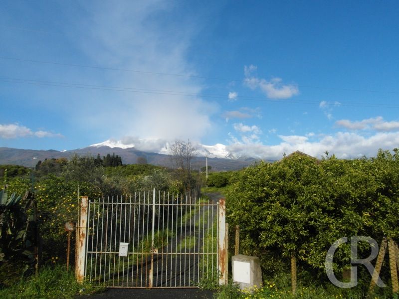 ferienwohnungen-blick-zum-etna.JPG