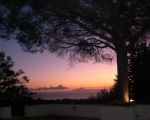 ferienwohnungen-im-agriturismo-blick-von-der-terrasse-zum-meer.JPG