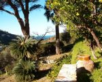 casa-caferi-garten.jpg