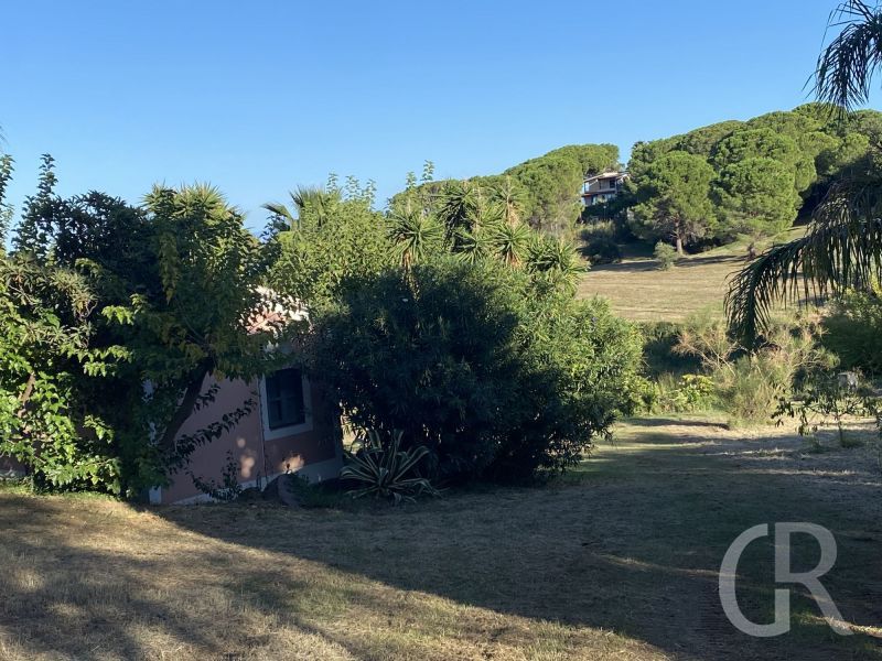 casa-gelso-blick-auf-die-wiesen.jpeg