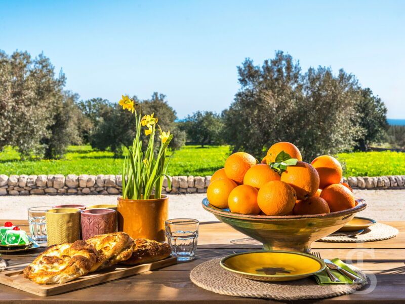 casa-ninetta-tisch-gedeckt-mit-orangenl.jpg