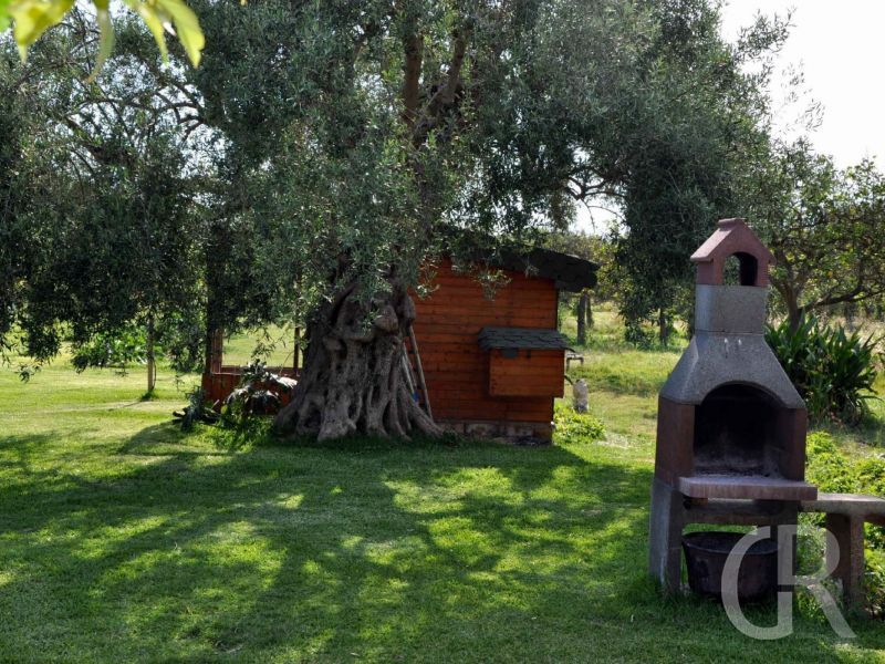 casa-pergola-garten-mit-grill.jpg
