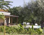 casa-pergola-terrasse.jpg