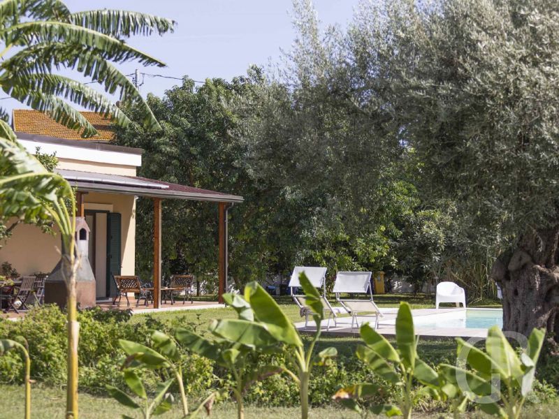casa-pergola-terrasse.jpg