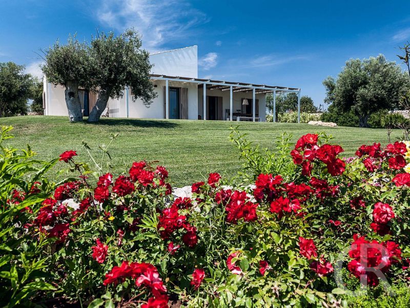 ferienhaus-ulivi-blick-auf-das-haus.jpg