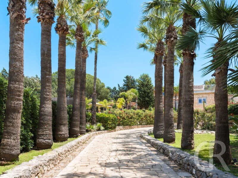 villa-maddalena-zufahrt.jpg