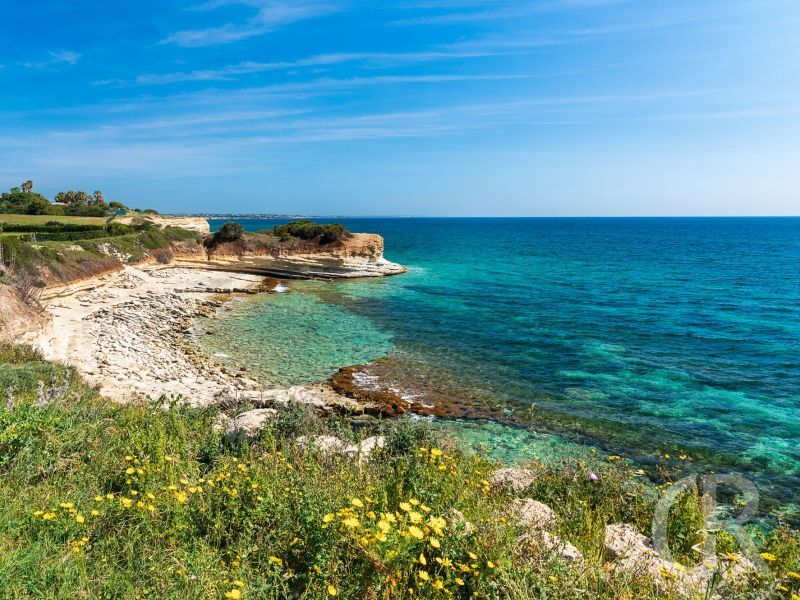 caponegro-am-strand.jpg