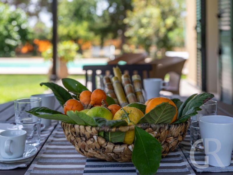casa-limoni-fruechte-aus-dem-garten.jpg