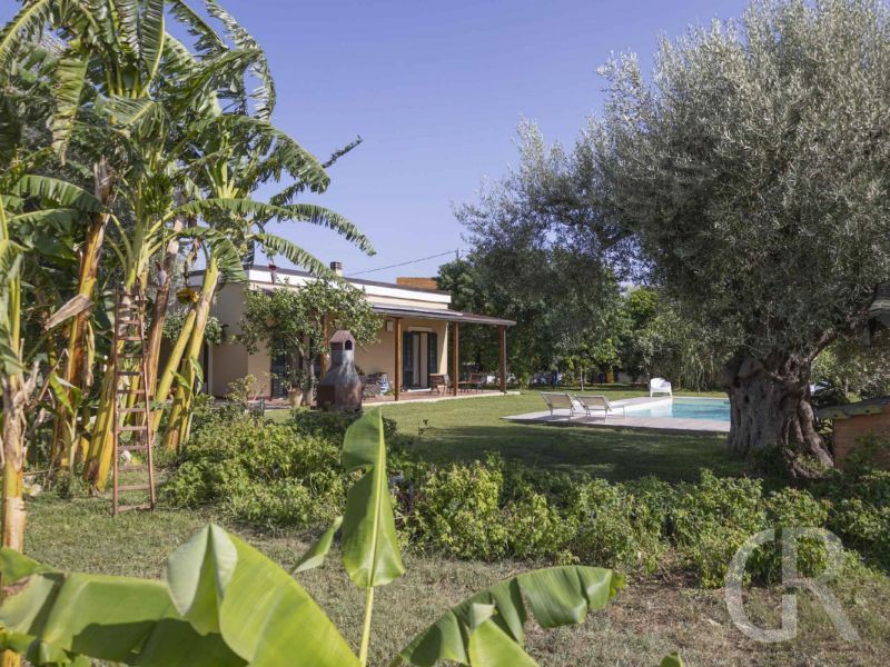 casa-pergola-terrasse-und-garten.jpg