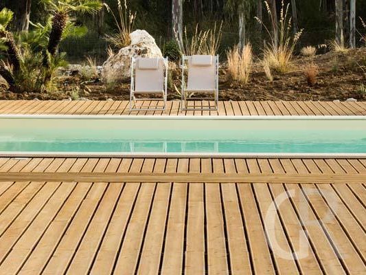 schoener-pool.jpg