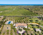 villa-pigna-blue-blick-aus-der-luft.jpg