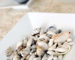 casa-contemplamare-1-muscheln.jpg