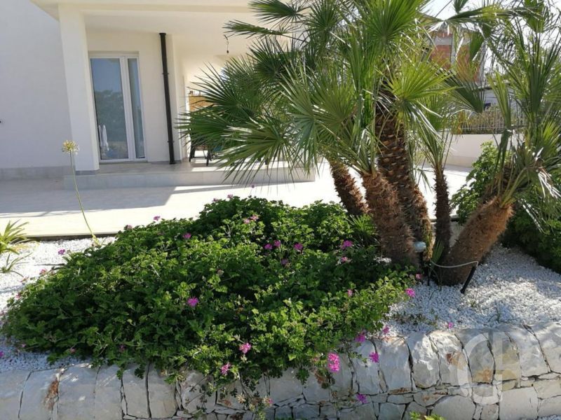 ferienwohnung-cecilia-angelegter-garten.jpg