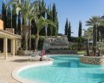 villa-agora-palmen-am-pool.jpg