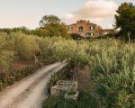 villa-corte-del-sol-zufahrt.jpg
