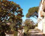 casa-caferi-zufahrt.jpg