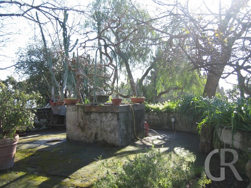 casa-di-pippinitto-brunnen-vor-der-terrasse.JPG