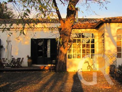 casa-di-pippinitto-fruehstuecksraum-bei-daemmerung.jpg
