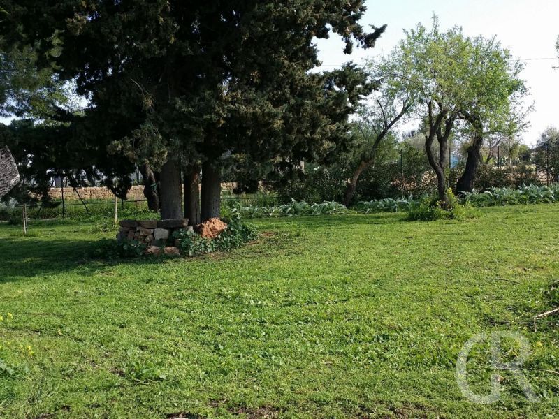 casa-limoni-blick-inden-garten.jpg