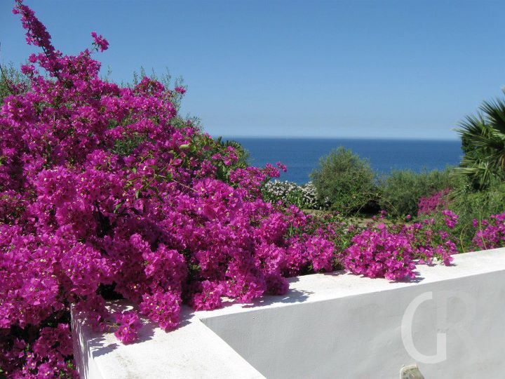 ferienwohnung-la-pagliera-blick-von-der-terrasse.jpg