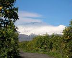 ferienwohnungen-im-agriturismo-blick-auf-den-etna.JPG