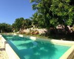 grosser-pool.jpg