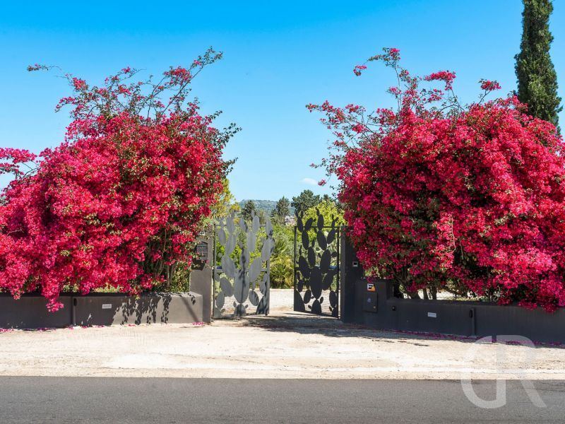 villa-agnese-bougainvillea.jpg