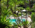 villa-maddalena-blick-auf-den-pool.jpg