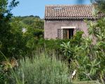 villa-palmento-monterosso-ueppige-blumen.jpg