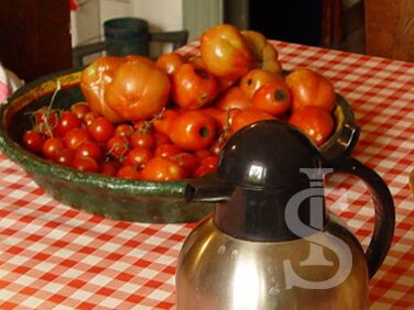 casa-di-pippinitto-reiche-tomatenernte.jpg
