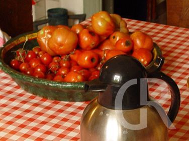 casa-di-pippinitto-reiche-tomatenernte.jpg