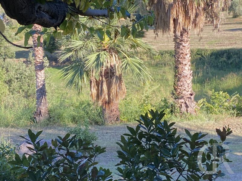casa-gelso-im-park.jpeg