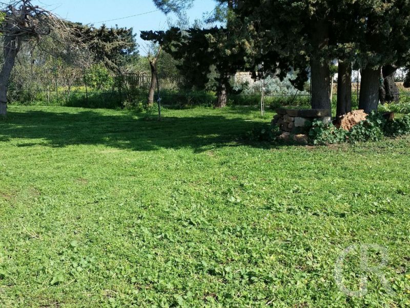 casa-limoni-grosser-garten.jpg